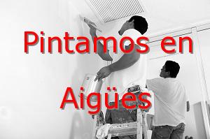 Pintor Elche Aigües