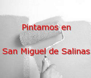 Pintor Elche San Miguel de Salinas